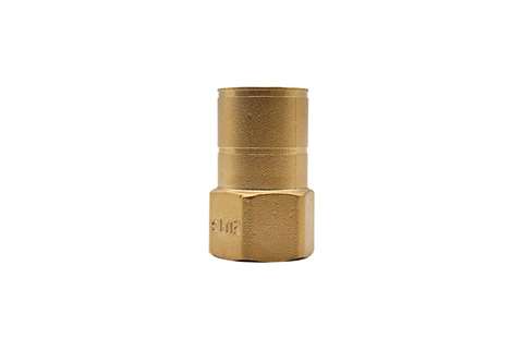 Fixed coupling with female thread - DN25 - 1", 10416460000