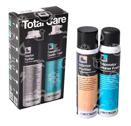 Errecom Kit complet pour l'hygiène de la climatisation - mousse + aérosol, 2×100 ml, pêche