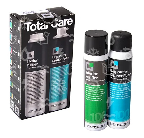 Errecom kit complet pour l'hygiène de la climatisation - mousse + aérosol, 2×100 ml, menthe poivrée