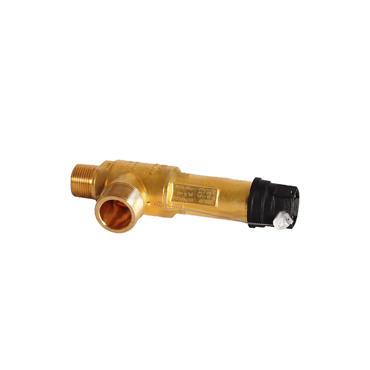 safety valve CASTEL 3030/88C160, flare 1" NPT, 16 bar