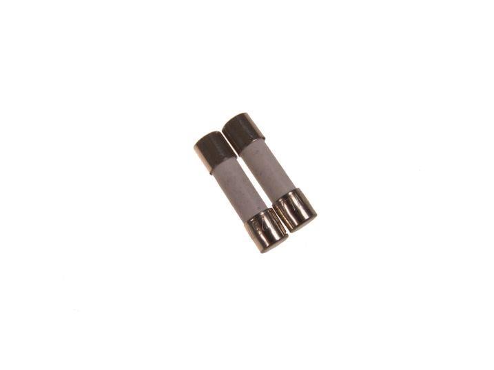 Microwave fuse 12.5 A (5 x 20 mm)