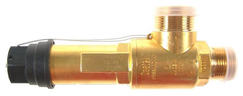 Castel 3030/88C200 safety valve, 1" NPT screws, 20 bar