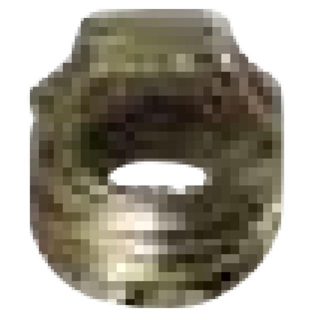 Person